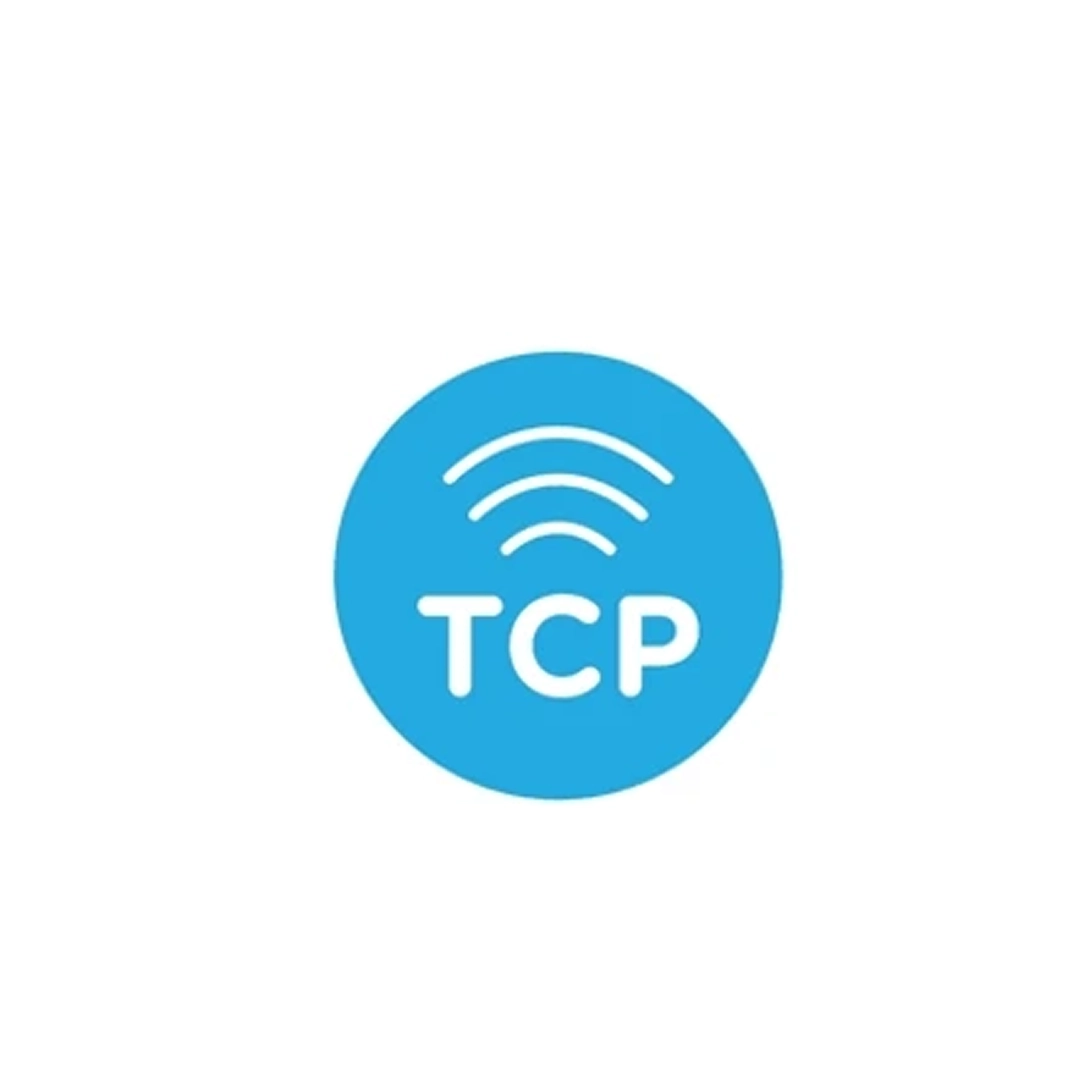 TCP Sockets